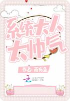系统大肚