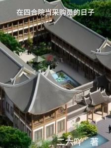 在四合院当采购员的日子 二六吖