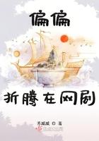偏偏宠爱网剧
