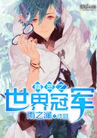 精灵之冠军之路