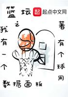 篮坛之我有一个属性面板