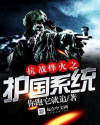 抗战之铁血元帅系统