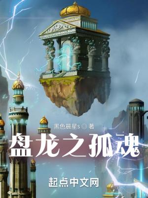 盘龙之孤魂txt百度