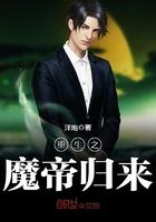 重生之魔帝归来叶枫