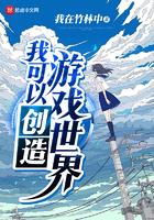 我创造了游戏世界