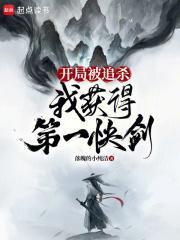 我获得第一快剑百科