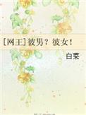网王彼男彼女在线阅读