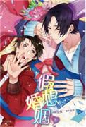 假想婚姻完整版