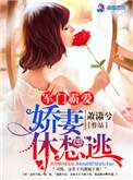 骄妻怀里来