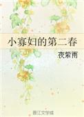 小寡妇的第二春 起点