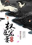 权臣宠妻指南免费阅读