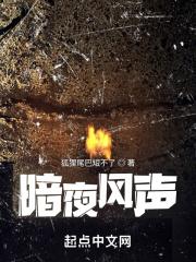 暗夜无声全文阅读