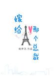 嫁给那个总裁全文免费无弹窗