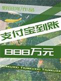 支付宝到账888万元全文免费阅读