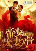 天价暖婚帝少宠妻入骨