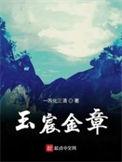 玉宸金章笔趣阁