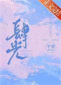 肆光免费阅读无弹窗