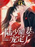 陆少甜妻宠定了顾念陆司遇