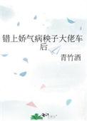 错上娇气病秧子大佬车后免费阅读无弹窗