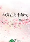 神算在七十年代素手写意完整