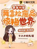 重生八零收废品