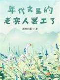 年代文里的老来子