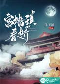 宫墙锁情深(清穿)
