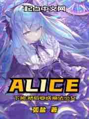 然后变成魔法少女魔法等级