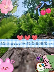 重生七零带着空间去种田txt