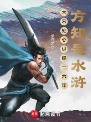 大宋处心积虑十六年方知是水浒无防盗