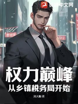 权力巅峰从乡镇税务局开始