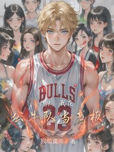 我在公牛队当老板的