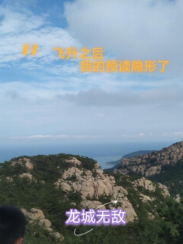 飞升之后阅读