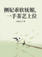 侧妃的宠文