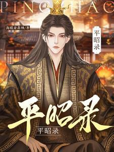 平昭录讲的什么