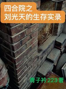 四合院之刘光福
