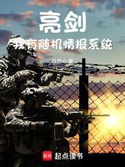 亮剑我有随机情报系统 白担心