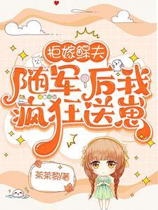 随军后我疯狂送崽(茶茶黎)最