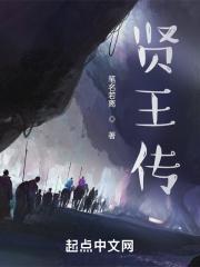 贤王传免费观看全集