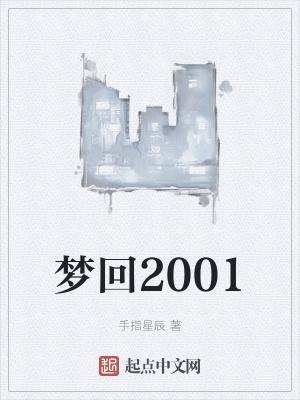 梦回2001 IC泽泽