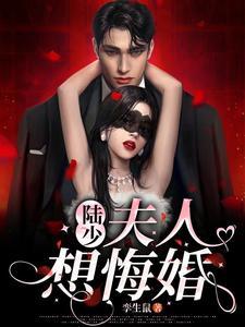 陆少夫人要离婚