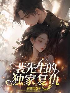 裴先生的独家复仇晋江