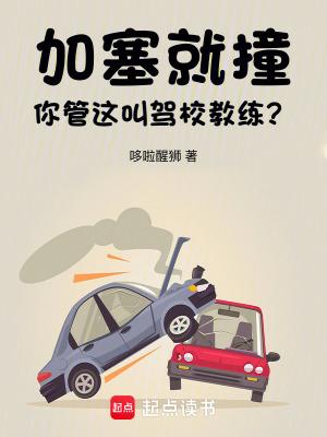 你管这叫驾校教练?笔趣