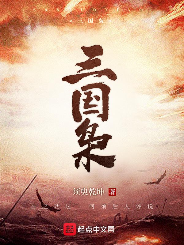 三国枭雄天下局