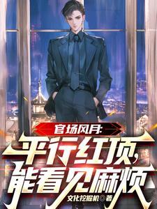 2020官场平步权峰