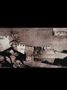 浴血猎杀剧情介绍