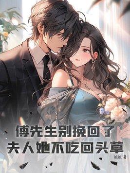 傅先生我不爱你了免费阅读
