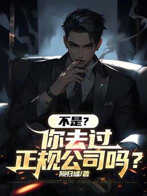 不正规的公司能去吗