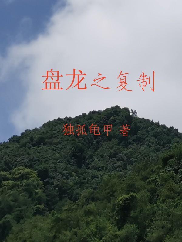 盘龙之复制实力