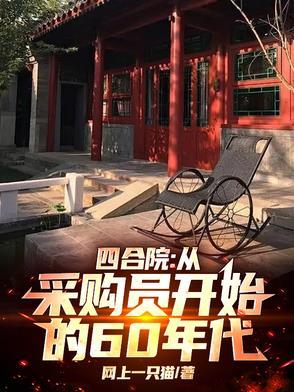 四合院从售货员到世界大亨免费